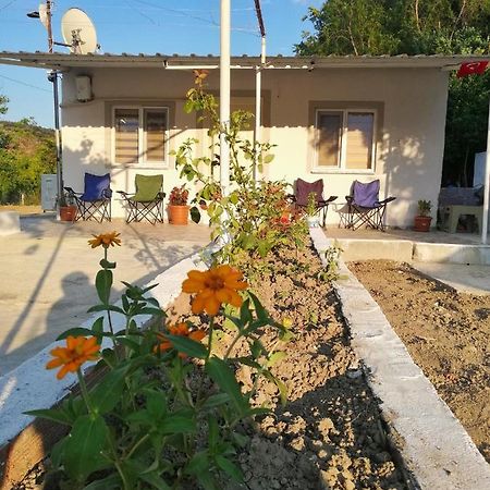 دالامان Alibaba Villa Near Airport And Beach المظهر الخارجي الصورة