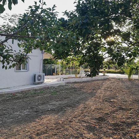 دالامان Alibaba Villa Near Airport And Beach المظهر الخارجي الصورة