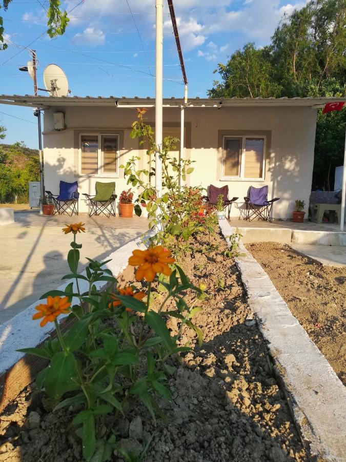 دالامان Alibaba Villa Near Airport And Beach المظهر الخارجي الصورة