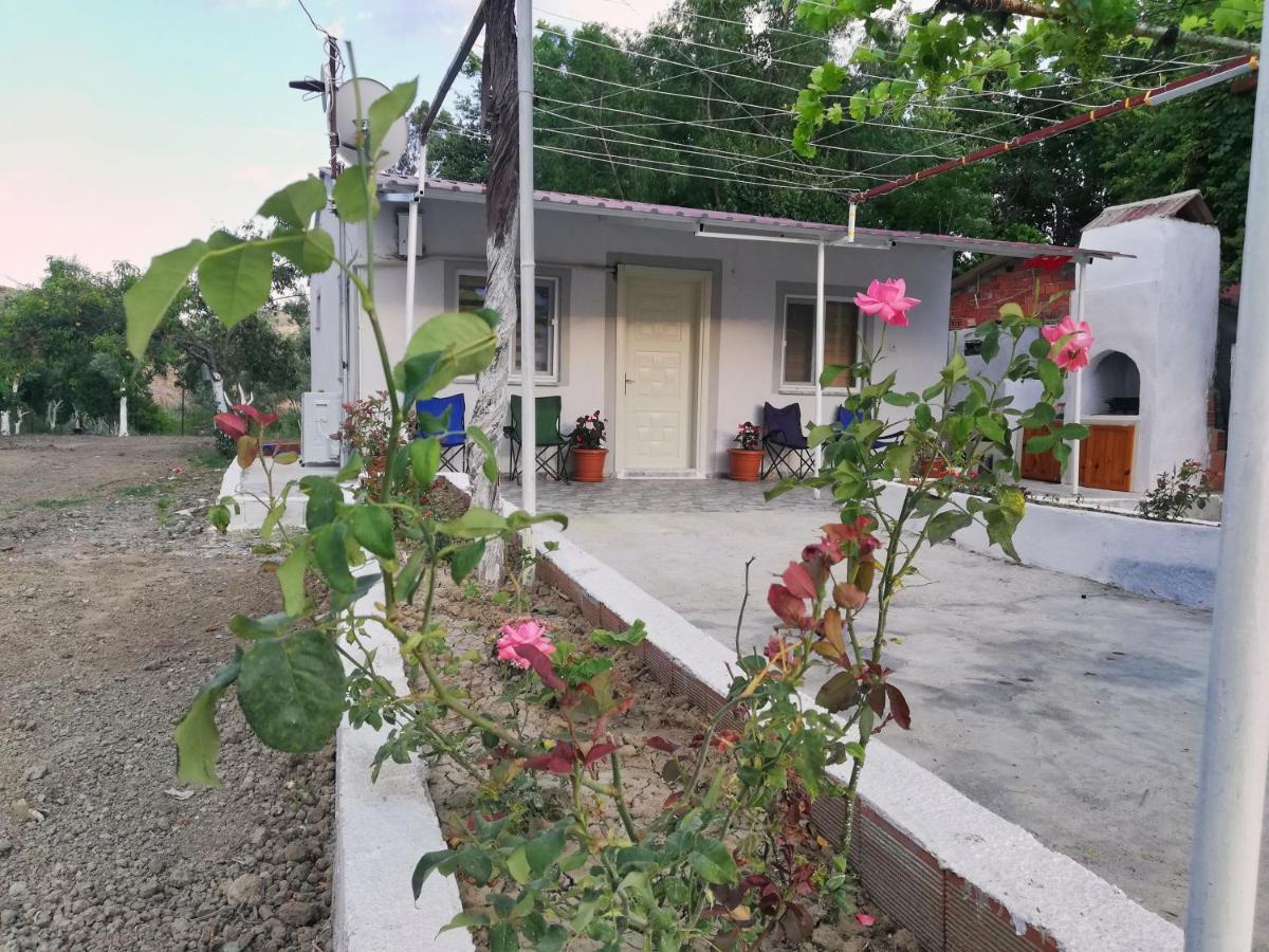 دالامان Alibaba Villa Near Airport And Beach المظهر الخارجي الصورة