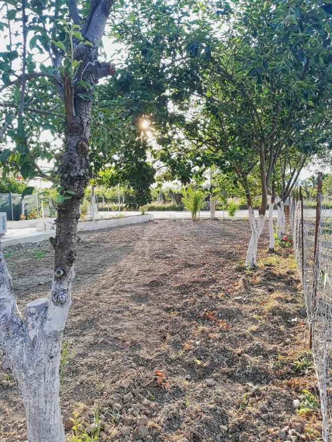 دالامان Alibaba Villa Near Airport And Beach المظهر الخارجي الصورة
