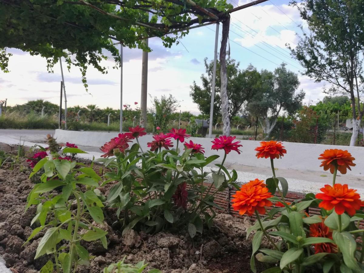 دالامان Alibaba Villa Near Airport And Beach المظهر الخارجي الصورة