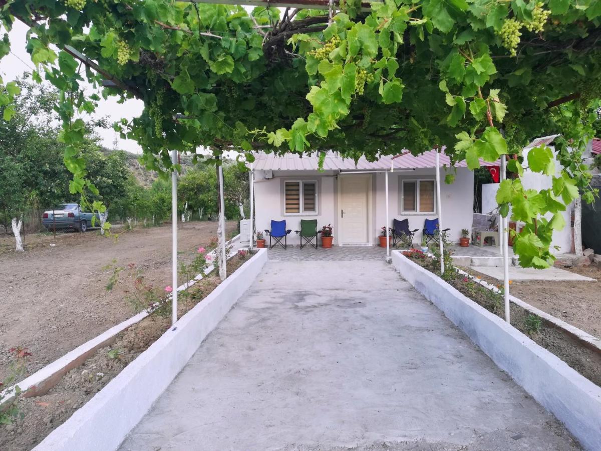 دالامان Alibaba Villa Near Airport And Beach المظهر الخارجي الصورة