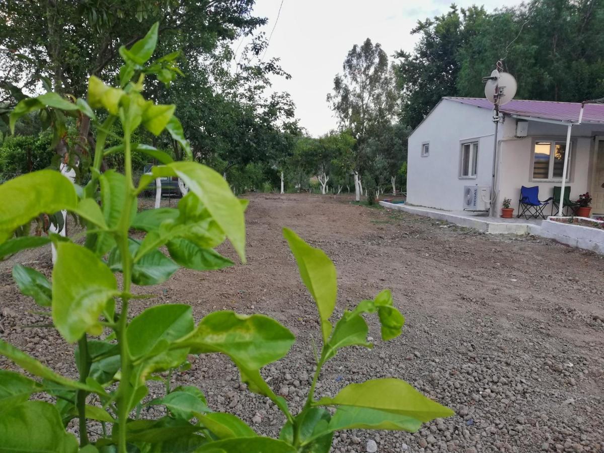 دالامان Alibaba Villa Near Airport And Beach المظهر الخارجي الصورة